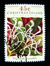 A stamp printed in Australia shows an image of white wildflowers in Christmas Island on value at 45 cent.